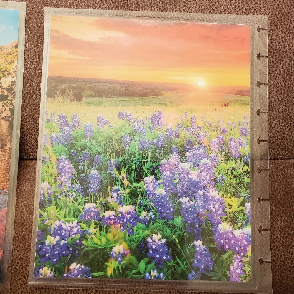 Happy Planner classic sized cover homemade Psalm 27:1 mountains *defects*